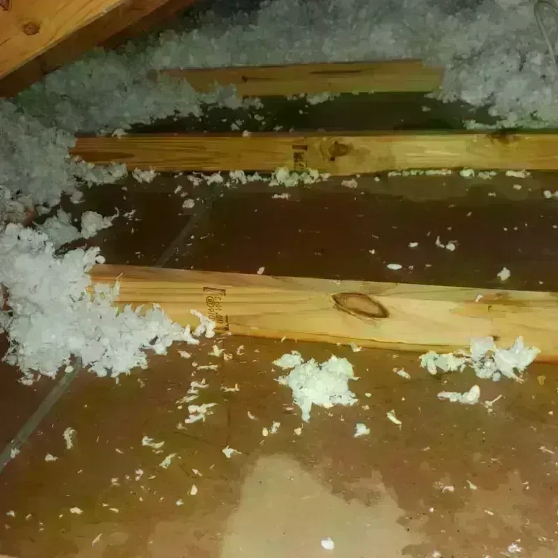 Attic Water Damage in East Ridge, TN